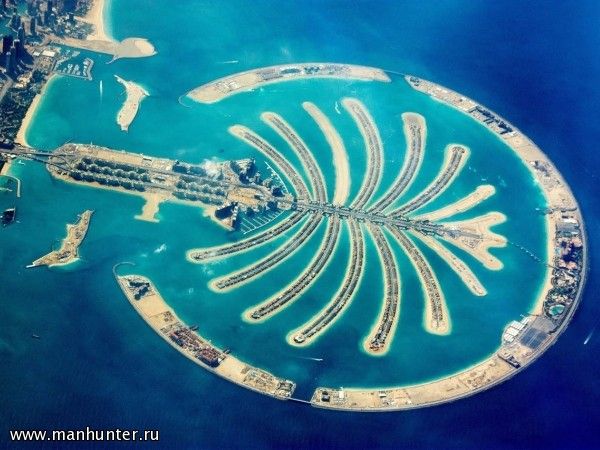 Пальмовый остров