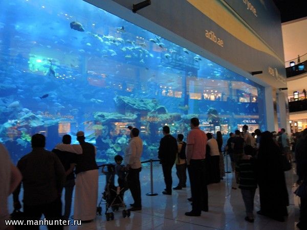 Океанариум в Dubai Mall