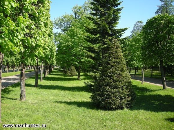 Петергоф