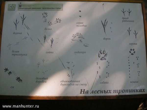 Справочник следов