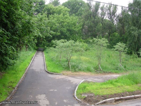 Аллея на Воробьевых горах
