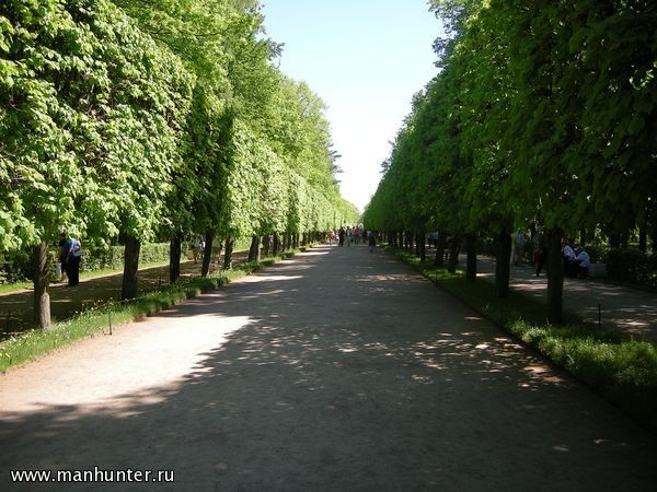 Петергоф