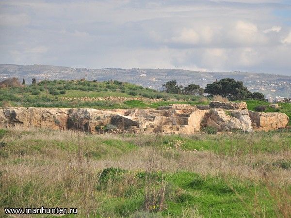 Агора
