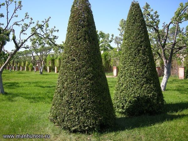 Петергоф
