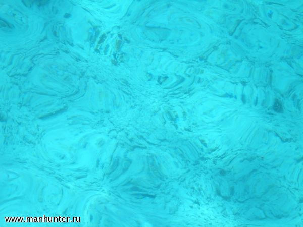 Красное море