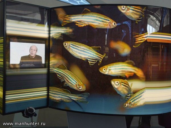 Экспозиция "Жизнь"