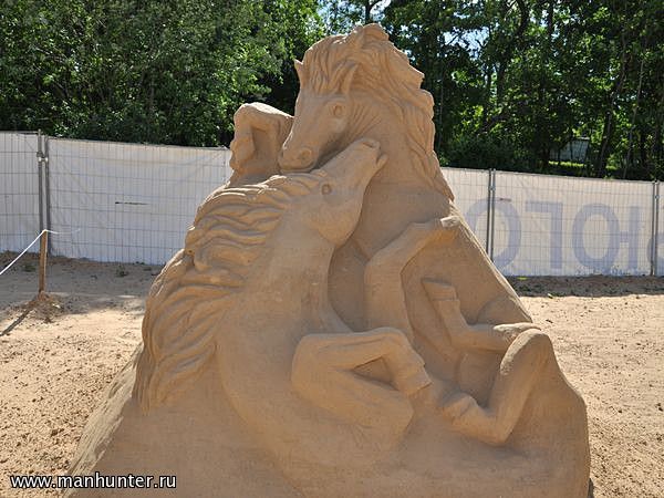 "Бой жеребцов"