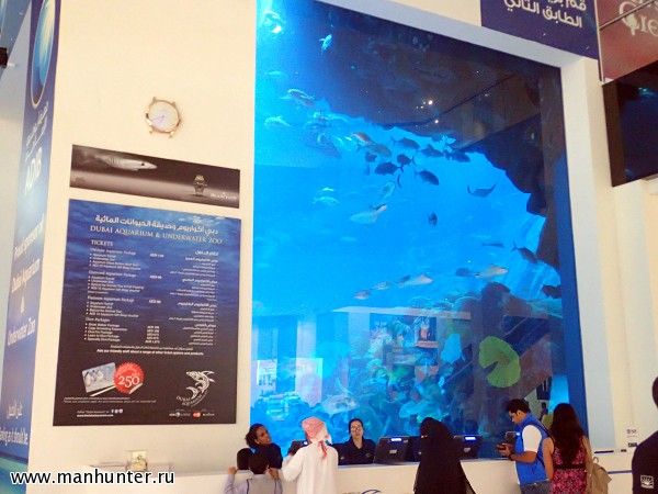 Океанариум в Dubai Mall