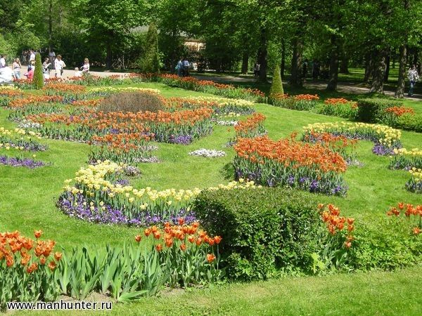 Петергоф