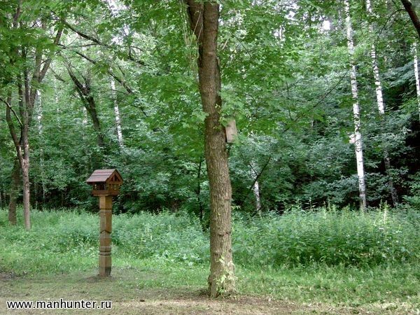 Скворечник и кормушка для птиц