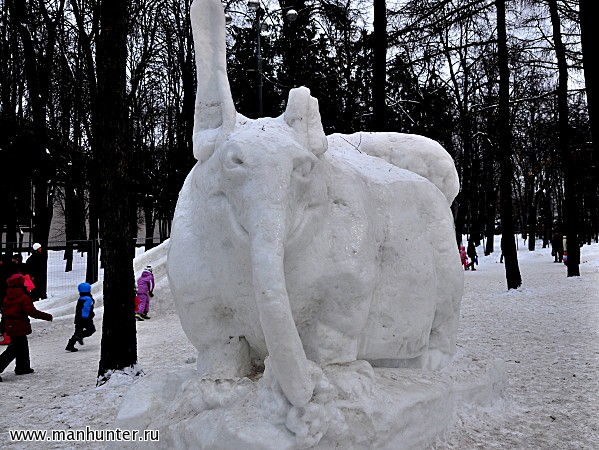 "Муравьед"