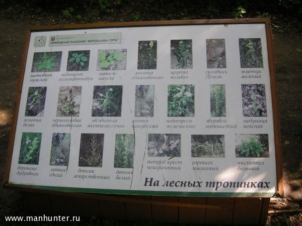 Справочник по растениям
