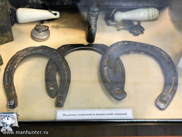 Подковы скаковой и водовозной лошадей