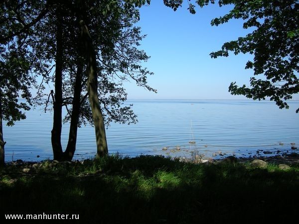 Финский залив