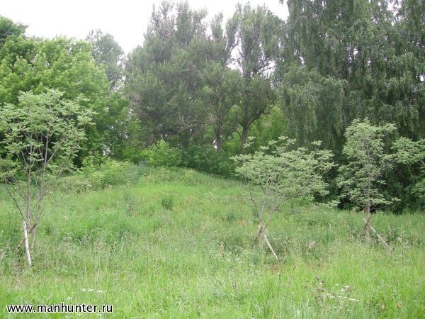 Воробьевы горы