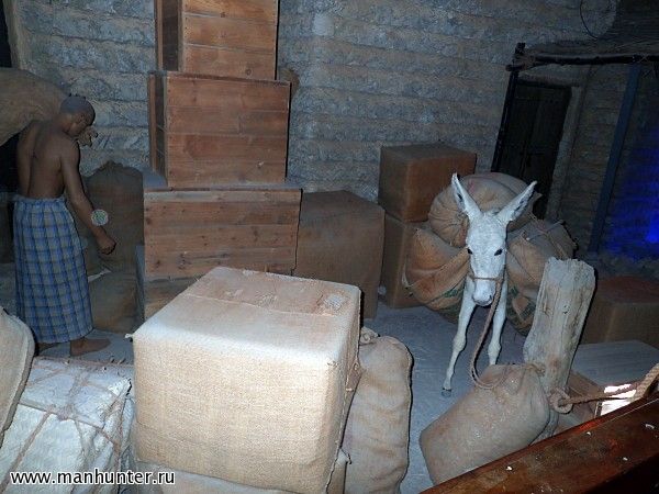 Экспозиция музея